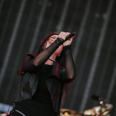 Evanescence- Sick New World