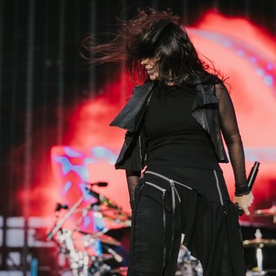 Evanescence- Sick New World