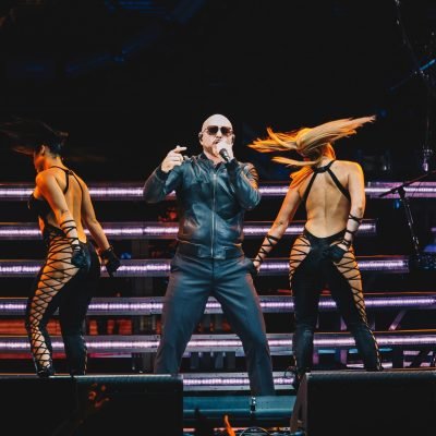 Pitbull