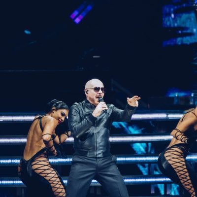 Pitbull