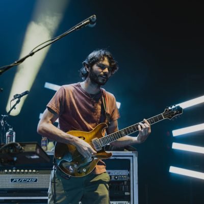 Goose